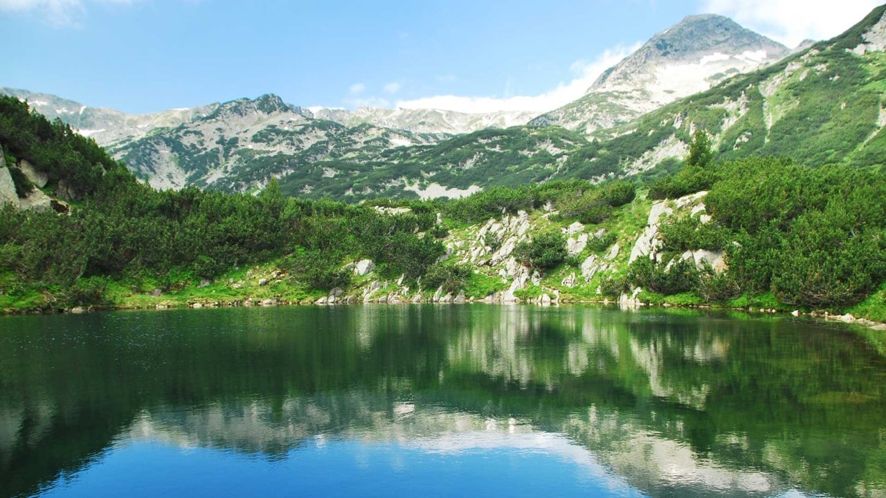Pirin Mountain National Park, Bulgaria